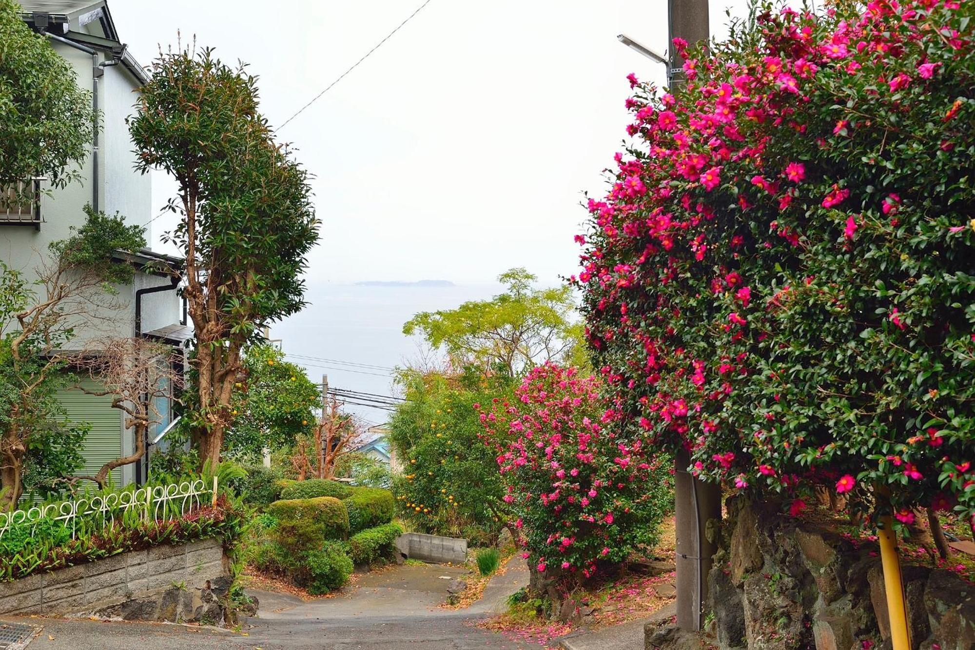 Holiday House 川奈 Ito  Εξωτερικό φωτογραφία